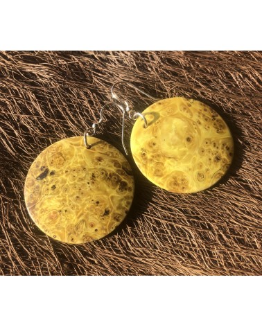 Boucles d'oreille forme lentille Loupe d'Erable (broussin) / 01